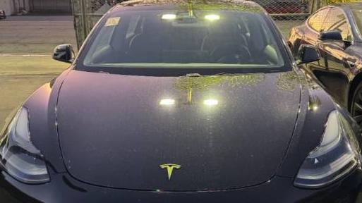 TESLA MODEL 3 2021 5YJ3E1EB1MF056003 image